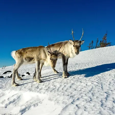 Apartment Kanerva 108