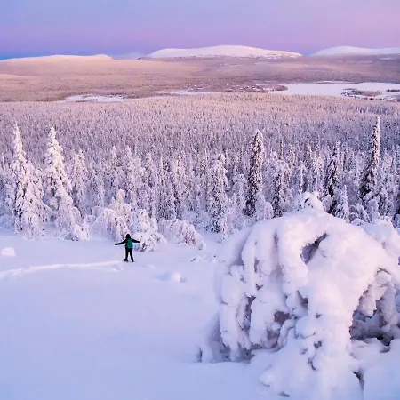 Apartment Kanerva 108 *