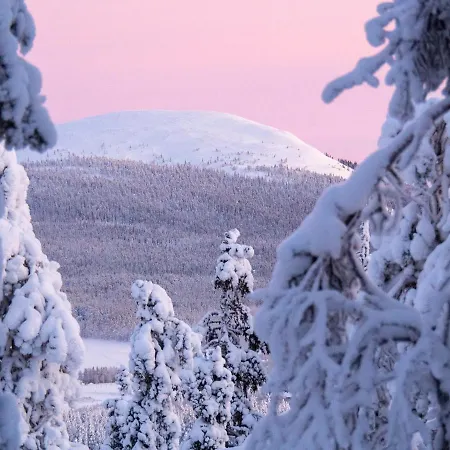 Lägenhet Kanerva 108